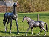 POI Marche-en-Famenne - Les chevaux en bronze - Photo 1