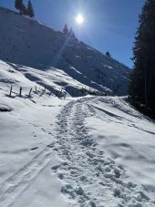 POI Abondance - Fin de piste carrossable - Photo 1