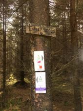 Point d'intérêt Malmedy - La Vecquée - Photo 1