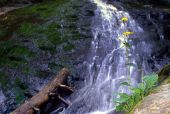 Point d'intérêt Lautenbachzell - cascade de seebach - Photo 1