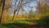 Point d'intérêt Saint-Crépin-aux-Bois - Point 28 - Photo 20