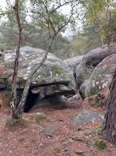 Point d'intérêt Fontainebleau - 6Y - Belvédère de Titien - Photo 1