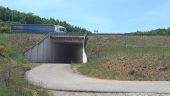 Punto di interesse Creissels - sous  l'A75 juste àvant le Viaduc  est même balisé - Photo 2