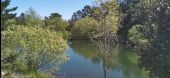 POI Collobrières - petit lac - Photo 2