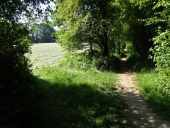 Point d'intérêt Mont-Saint-Guibert - Vues nord et sud dans le chemin qui descend de la Colline de Pénuel - Photo 2