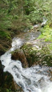 POI Cornimont - Petit cascade - Photo 2