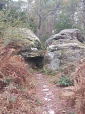 Point d'intérêt Fontainebleau - K - Rocher d'Estelle et Nérorin - Photo 1