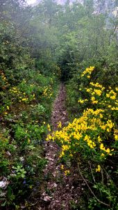 Punto di interesse Massegros Causses Gorges - point de vue  - Photo 3