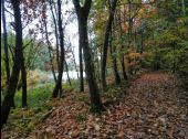 Point d'intérêt Étalle - Etang de Gantaufet - Photo 2