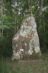 Punto de interés Beautheil-Saints - Pierre Fitte - Photo 1