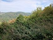 Point d'intérêt Pouzol - vue sur les gorges du pont de Menat - Photo 1