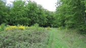 Point d'intérêt Saint-Crépin-aux-Bois - Point 37 - Photo 4