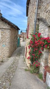 Punto de interés Compeyre - Compère rue à gauche après le snack sous l'église  - Photo 1