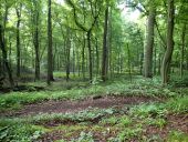 Point d'intérêt Tervueren - Différentes vues sud/sud-ouest dans le Vijversweg - Photo 1