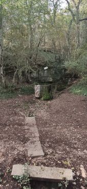 Punto de interés Plombières-lès-Dijon - Source-de-la-Fontenotte - Photo 1