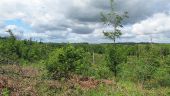 Point d'intérêt Saint-Crépin-aux-Bois - Point 23 - Photo 5