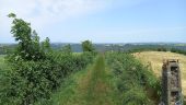 Point d'intérêt Ambialet - Sentier vers Ambialet - Photo 1