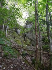 Point d'intérêt Saint-Nizier-du-Moucherotte - L'Arche intermédiaire - Photo 2