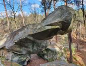 POI Fontainebleau - Megatherium - Photo 1