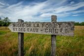 Point d'intérêt Spa - Musée de la Forêt et des Eaux - Photo 1