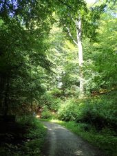 Point d'intérêt Tervueren - Différentes vues sud/sud-ouest dans le Vijversweg - Photo 2