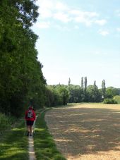 Punto de interés Grez-Doiceau - Vues au 4 points cardinaux sur le Chemin des Prés Sains**** - Photo 7