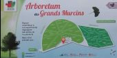 Point of interest Arcon - Arboretum des Grands Murcins - Photo 1