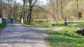 Punto di interesse Saint-Hubert - Etangs - Photo 1