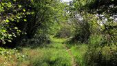 Punto de interés Saint-Crépin-aux-Bois - Point 20 - Photo 10