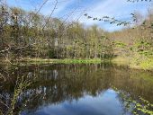 Point d'intérêt Notre-Dame-de-Boisset - Etang Briais - Photo 1