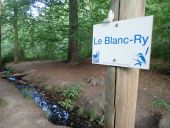 Point d'intérêt Ottignies-Louvain-la-Neuve - Ruisseau du Blanc-Ry à proximité des mares - Photo 1