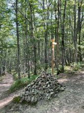 Point d'intérêt Villemontais - Cairn - Photo 1