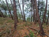 Point d'intérêt Telgruc-sur-Mer - Pause repas - Photo 1