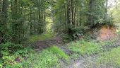 Punto di interesse Dampleux - Unnamed POI - Photo 10