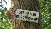Punto de interés Haramont - Unnamed POI - Photo 8