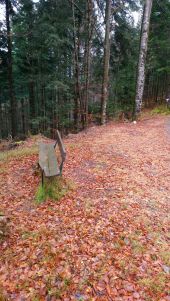 Point d'intérêt Bussang - Banc  - Photo 2