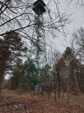 Point of interest Fontainebleau - Unnamed POI - Photo 1