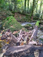 Point d'intérêt Ferrières-sur-Sichon - la rivière  - Photo 1