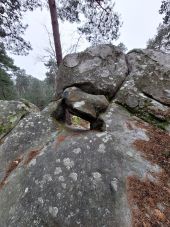 Point d'intérêt Fontainebleau - 5G - Roche de Maupassant - Photo 1