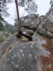 POI Fontainebleau - Unnamed POI - Photo 1