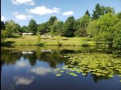 Punto di interesse Camors - Etang du petit bois - Photo 1