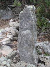 Punto di interesse Feilluns - dolmen Roc de l'Arque - Photo 1