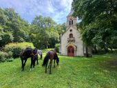 Point d'intérêt Saint-Hubert - Chapelle de Rabas - Photo 4