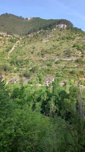 Point d'intérêt Gorges du Tarn Causses - Fourche route-sentier - Photo 1