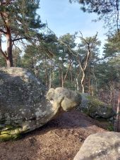 Point of interest Fontainebleau - Unnamed POI - Photo 2