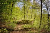 POI Étalle - Site gallo-romain et cron de Montauban - Photo 1