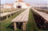 Point d'intérêt Vila do Conde - Zone Historique du sechage de la morue. - Photo 1