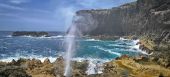 Point of interest Anse-Bertrand - Souffleur - Photo 2