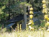 Point d'intérêt Corrençon-en-Vercors - cabane dans la Prairie en reconquête  - Photo 1