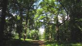 Point d'intérêt Saint-Crépin-aux-Bois - Point 18 - Photo 1